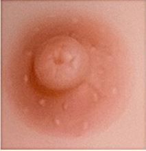  Marron clair (light brown)